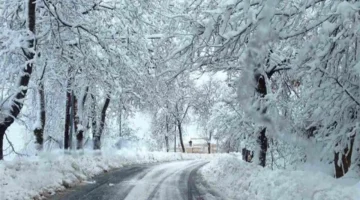 منخفض جوي يضرب لبنان مع توقعات بتساقط الأمطار والثلوج وتراجع درجات الحرارة